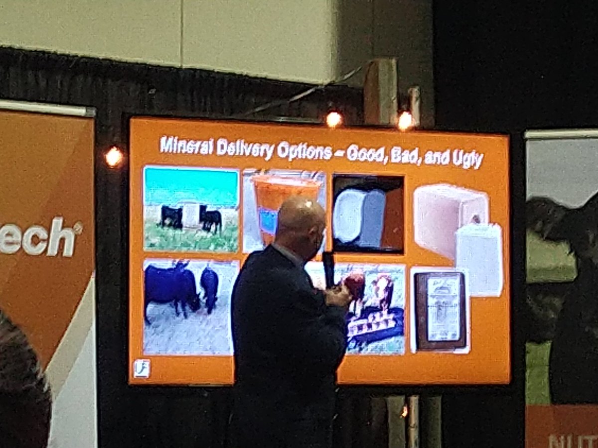 garviemtnangus's tweet photo. Trace minerals delivery via "salt blocks" is NOT an effective way of getting trace minerals into your cows! Interesting! I need to rethink that in my herd! #CDNBeefConf #alltech https://t.co/71dSDZBB7K