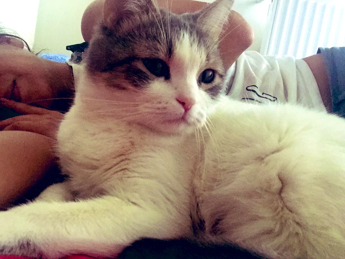 Жуска tweet media