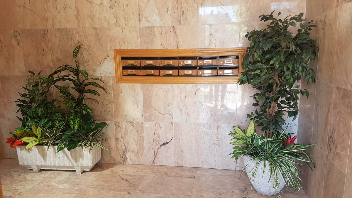FloresStaMaria's tweet photo. ➡️ Trabajos finalizados ⬅️

Otros dos portales que renuevan su imagen renovando las plantas de sus jardineras y macetones.
Por menos de lo que imaginas dale un nuevo aire al portal de tu casa o edificio👌👌

Pide tu presupuesto SIN compromiso 🌿🌱🌿🌱🌿🌱
#leonesp https://t.co/NFg775ogMl