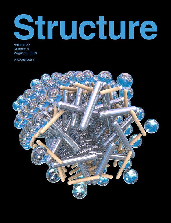 Xiongosome's tweet image. And this month’s @Structure_CP cover art is from our collaborator Juan Perilla @UDelaware — an illustration of the capsid-binding factor MxB to accompany @sarahsmaga’s paper #SciArt