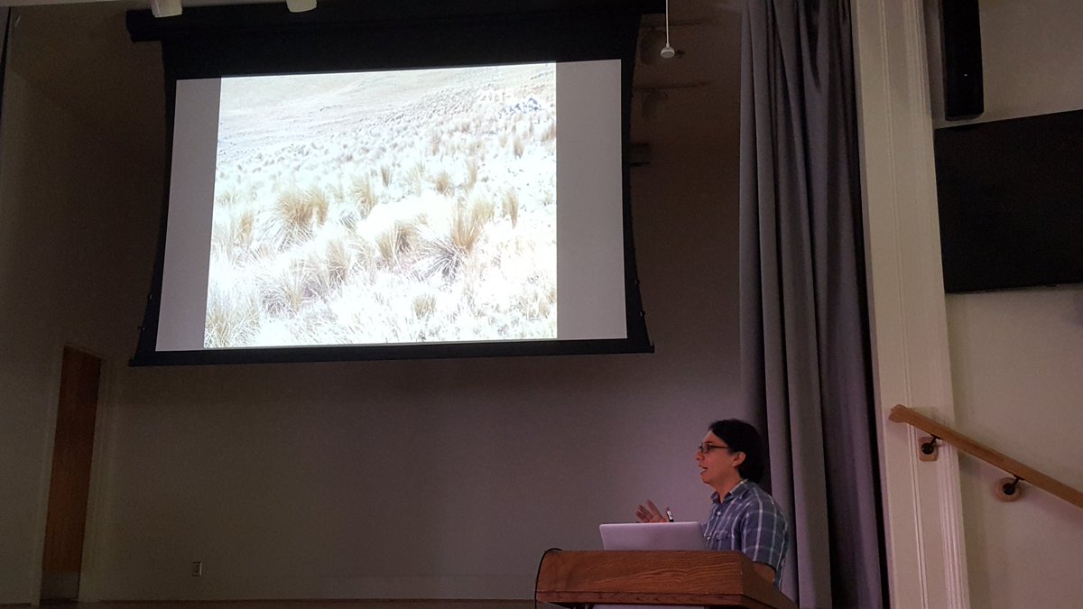 jessieldk's tweet photo. Reynaldo Linares, @Smithsonian @NationalZoo Peru Terrestrial Biodiversity Program Director, talks about #BMAP successes in high Andean ecosystem #restoration @SmithsonianWls @EarthOptimism #earthoptimism #SMARTrestoration https://t.co/0ZkDOEX1dx
