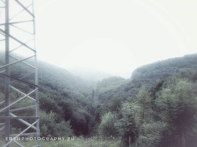 Eden_J_Garrido's tweet photo. No hay nada más mágico que un día de #niebla 🌿
. . .
#edenphotography #huaweip10 @huaweimobileesp #photomovil #localguides #localguidesconnect #IgersSpain #igersmadrid #TLPicks #travelphotography #worldplaces #beautifuldestinations #uniquelocation… https://t.co/A6zXuAHd4V https://t.co/utwXfTUSYY