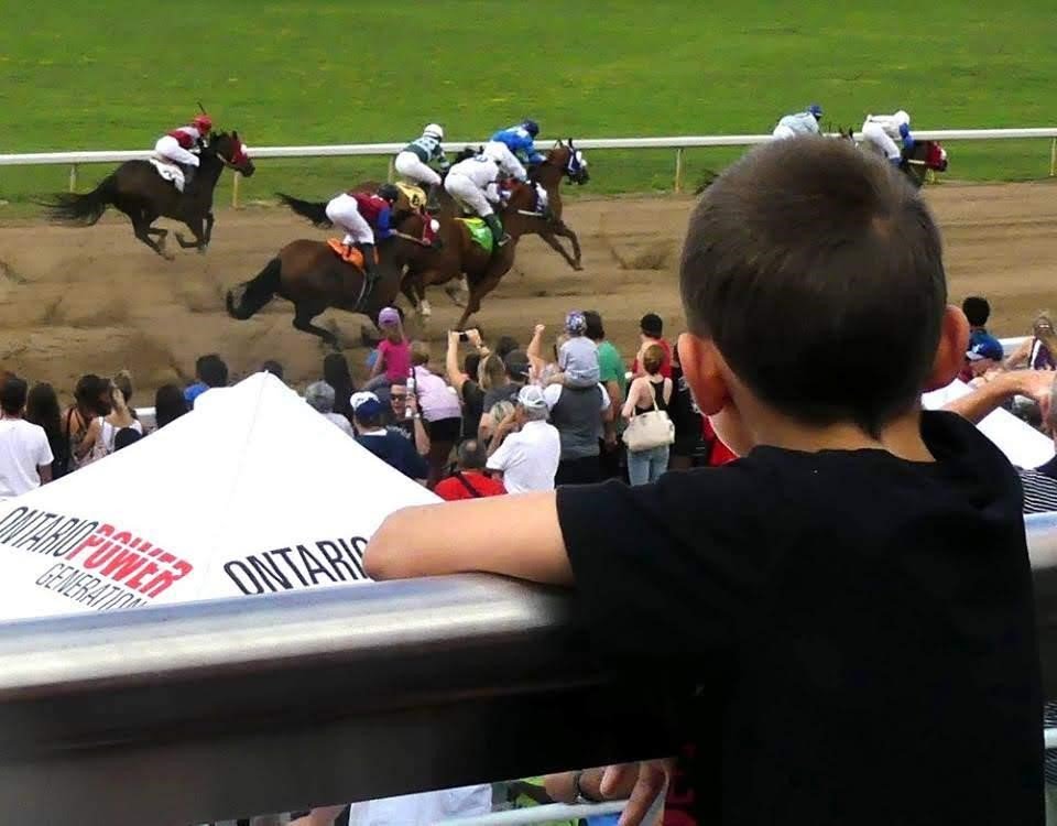 Race Day Picks Ajax Downs