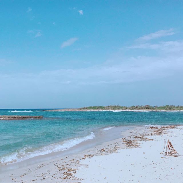 prapratroa's tweet photo. "Prima di tutto in spiaggia uno impara l’arte dell’eliminare; capire con quanto poco si possa andare avanti, non con quanto tanto". https://t.co/5LjRyUMZRi https://t.co/W6HBx1Unt5
