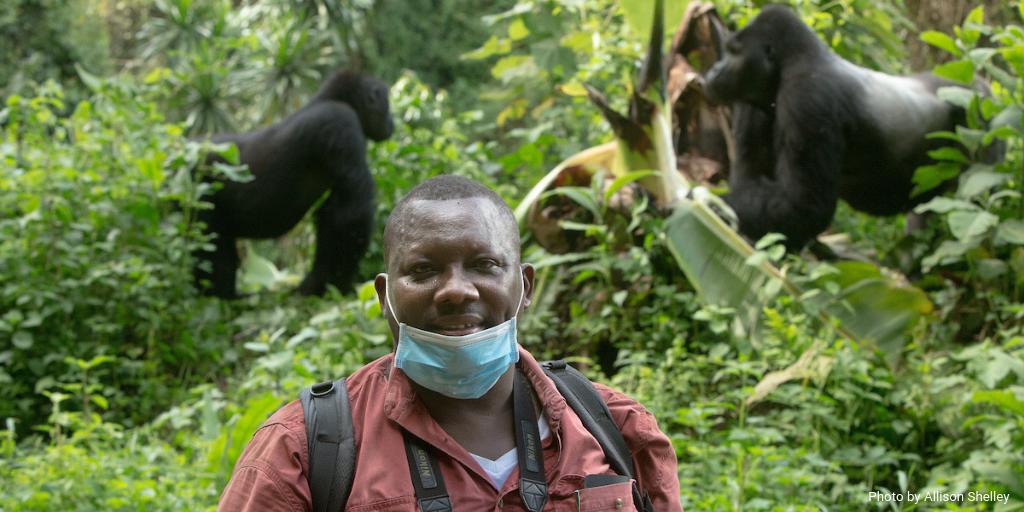 WildEarthAllies's tweet photo. Our Congolese partner Dr. Augustin K. Basabose is working to addressing two major threats to Grauer’s gorillas 🦍in and around @kahuzibiegaparc — poaching and habitat loss.

Story: https://t.co/7yIVD4w9AL

#ConservationTogether 📷@allison_shelley cc @Primatexpertise https://t.co/WfGVUkk6jW