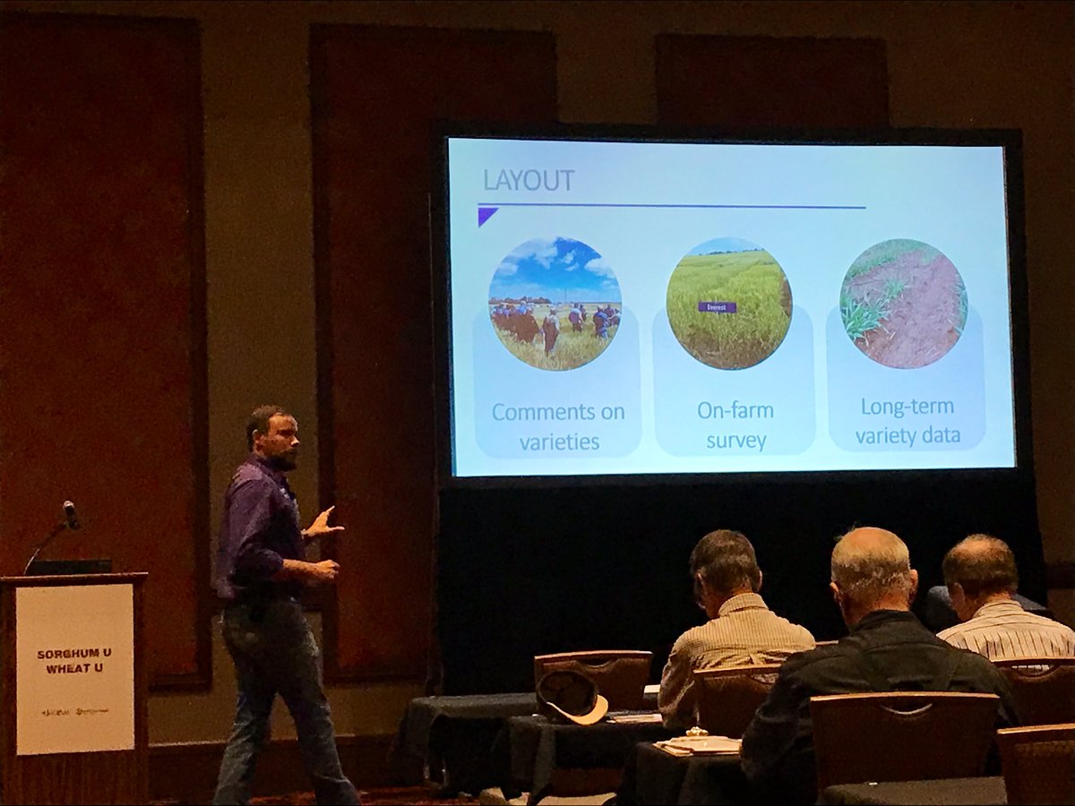 caseadilladilla's tweet photo. In this turbulent environment, high yield wheat becomes even more evasive. @KSUWheat presenting on how to utilize evolving practices to maximize wheat 🌾 yields. #WheatU #SorghumU https://t.co/1L0nppQkfd