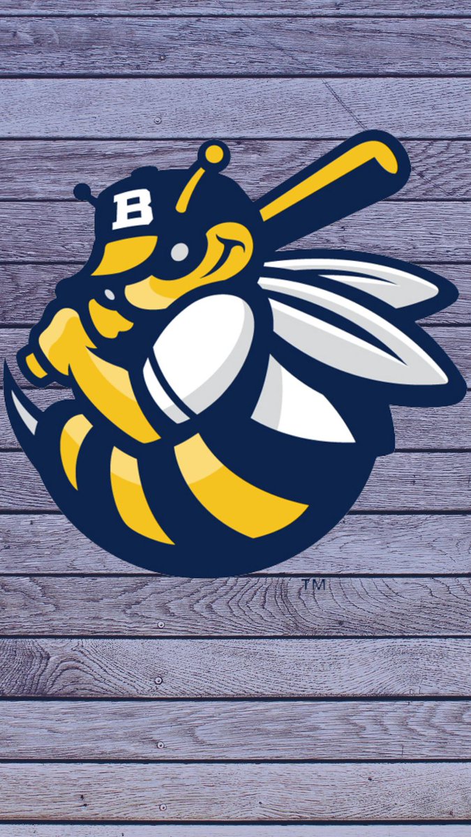 BurlingtonBees's tweet photo. New week, new Bees designs for your device on #WallpaperWednesday. See 'em 👀, save 'em💾, love 'em 💛! https://t.co/Lfvb6QIhZn