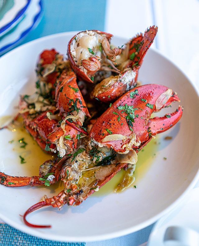 Pesce_DC's tweet photo. Did someone say whole lobster?? This beauty is our 🦞 Palladin. Click the link in our bio to make your reservation today❗️ https://t.co/6J3LNjfOvl https://t.co/COHAsJ7rQ2