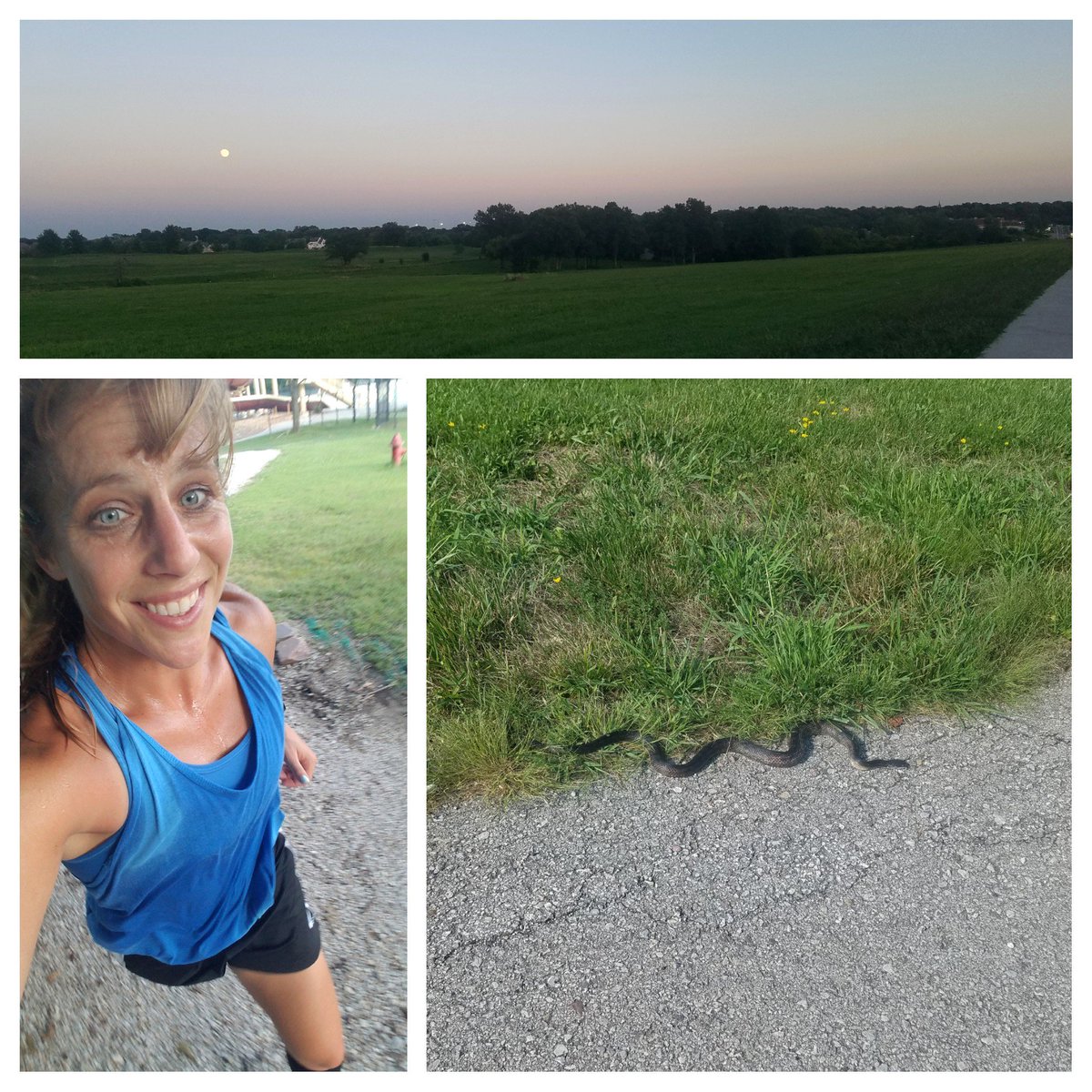 👟- 8mi easy & hot Mon  (🐍😳)
👟- 10.2mi dark PM #tracktuesday 2up, 8x200, 10min threshold, 4 down
👟- 8mi 4:50am Wed recovery

Is it a double if I run again before the 🌞 comes up? #nightdouble #naflagvisor #sunsetrun #sunriserun #happyhumpday