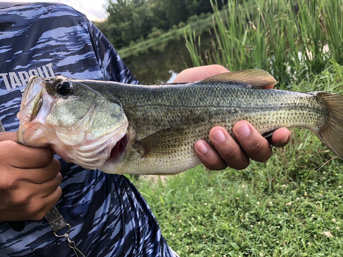 my brother and his bass. #bass #bassfishing #summerfishing #largemouthbass