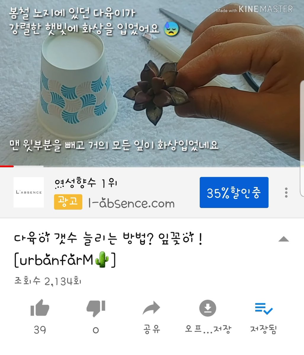beegendee422's tweet photo. #다육이 #잎꽂이 #자작나무_숲_
https://t.co/1nQjcvQsjb https://t.co/ujRPIggHvV