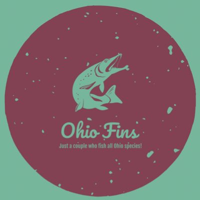 ohio_fins's tweet photo. #NewProfilePic https://t.co/FCMWKHgPDH