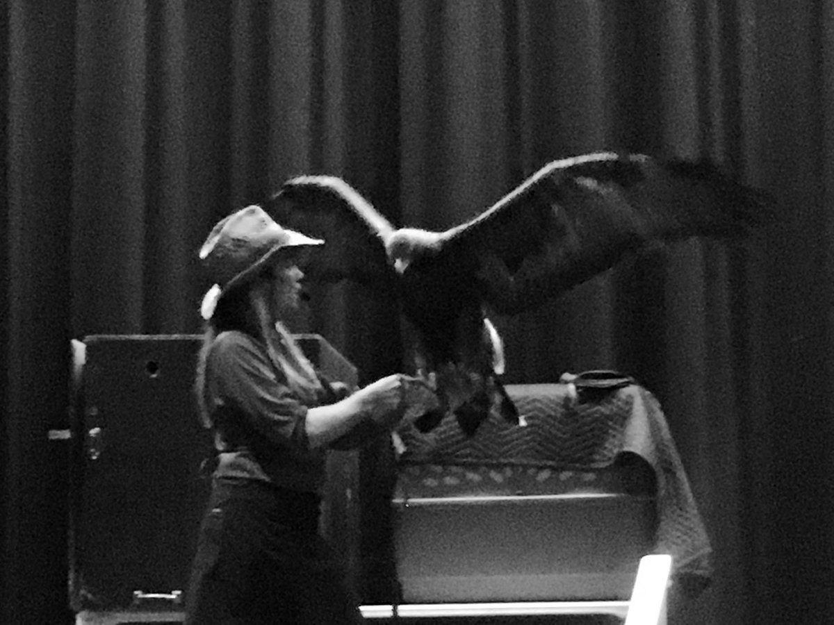 MDiffenbaugh's tweet photo. Thank you to #IDstem and Birds of Prey Northwest for sharing about important conservation efforts, including STEM connections/resources available for educators and students! Thank you to #IdahoSTEMAC for the sponsorships available to bring these experiences to students! https://t.co/naC27SaPss