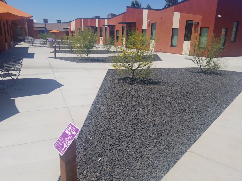 CBManagementGrp's tweet photo. Our latest successful project which included renewed landscaping, erosion control, irrigation and bioswales at San Jose Evergreen Community College Extension, a Joint Venture with the Milpitas Unified School District.

#sjeccd #loslozalandscaping #CBMGProject #JGMProject https://t.co/BWF5WYkA4l
