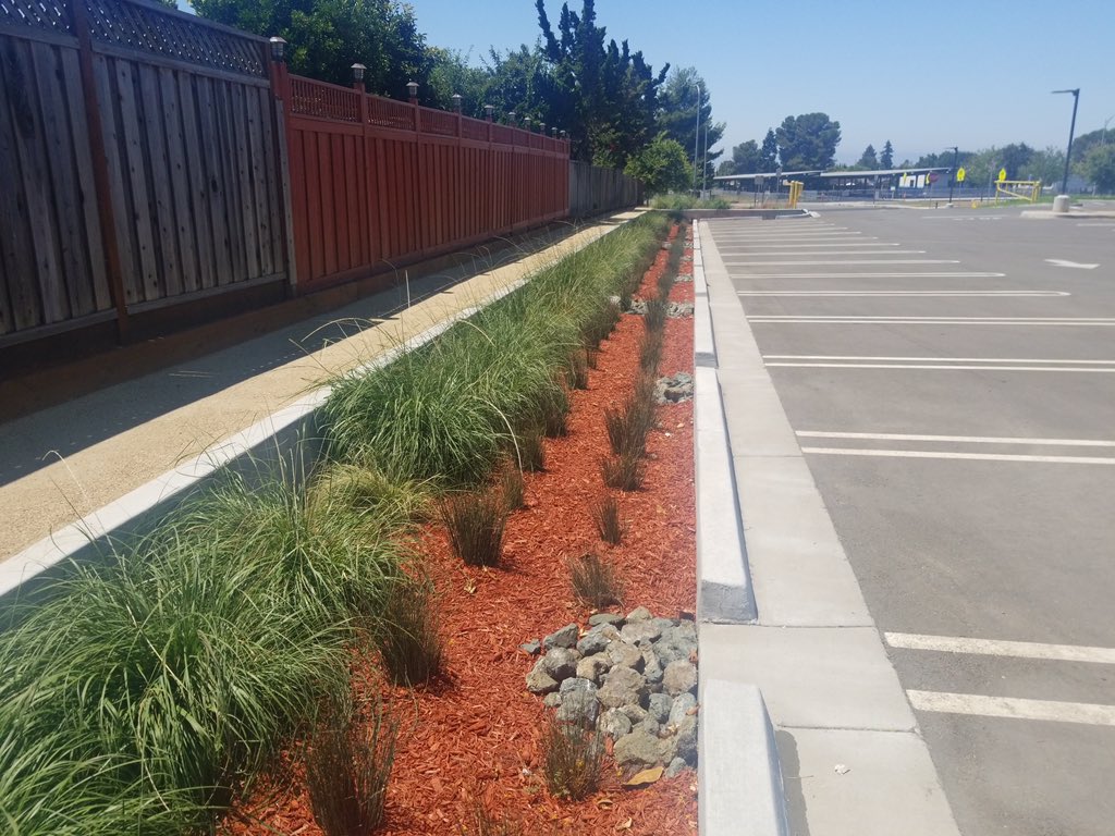 CBManagementGrp's tweet photo. Our latest successful project which included renewed landscaping, erosion control, irrigation and bioswales at San Jose Evergreen Community College Extension, a Joint Venture with the Milpitas Unified School District.

#sjeccd #loslozalandscaping #CBMGProject #JGMProject https://t.co/BWF5WYkA4l