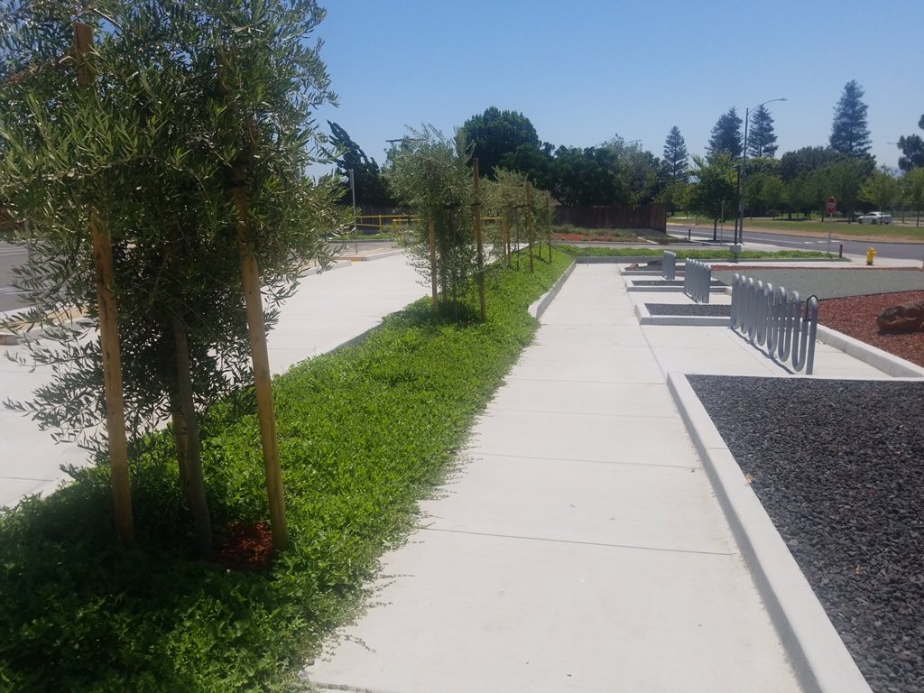 CBManagementGrp's tweet photo. Our latest successful project which included renewed landscaping, erosion control, irrigation and bioswales at San Jose Evergreen Community College Extension, a Joint Venture with the Milpitas Unified School District.

#sjeccd #loslozalandscaping #CBMGProject #JGMProject https://t.co/BWF5WYkA4l