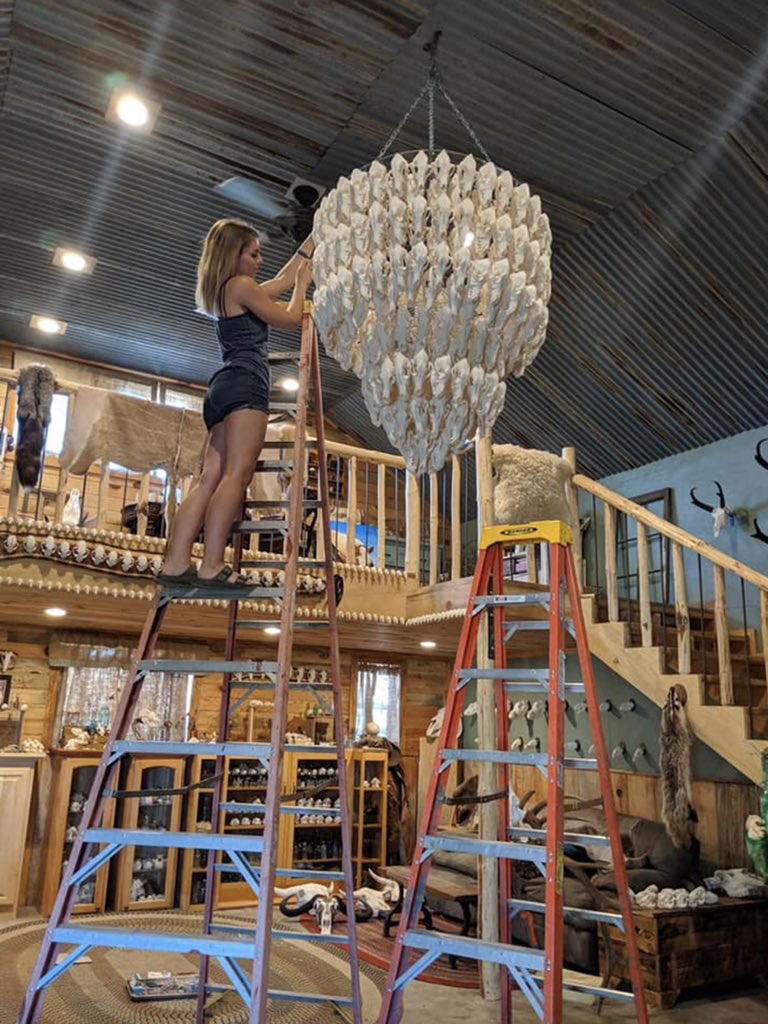 The winner of this weeks #upcycling award is.... 🦴💀 #lighting