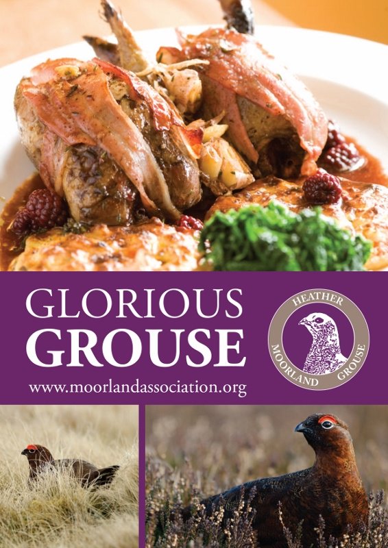 Out shopping? Perhaps you fancy something different for dinner - how about grouse?
Glorious Grouse guide lists outlets around the country where grouse can be bought. It also includes online suppliers and a number of recipes. @TasteofGame @MoorlandAssociation
