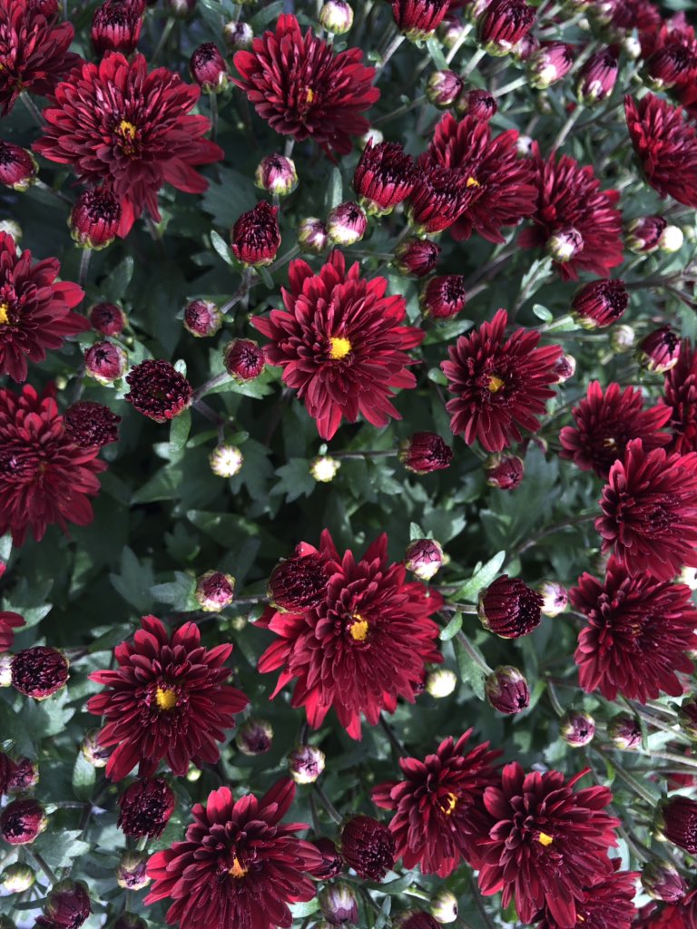 Fall is just around the corner!