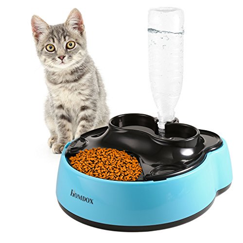 Dogbowls Hashtag On Twitter