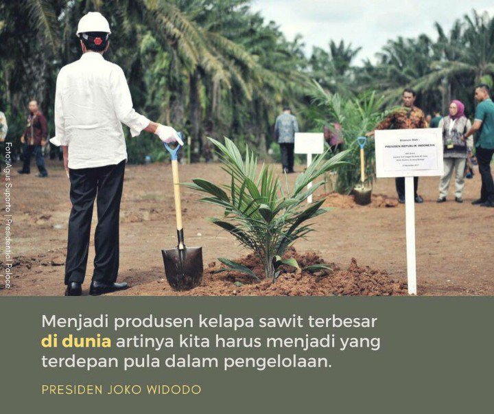Janda2_Sange's tweet photo. 10 prodak dari olahan kelapa sawit yg akan di kembangkan.
1.kosmetik
2.biodisel
3.mentega
4.pasta gigi
5.minyak pelumas, dll
#BantuJokowiCariMentri
#cafepolitic
#Gayaspa
#iCONIKSelcaDay
#SONDONGPYO https://t.co/66xgByV3rf