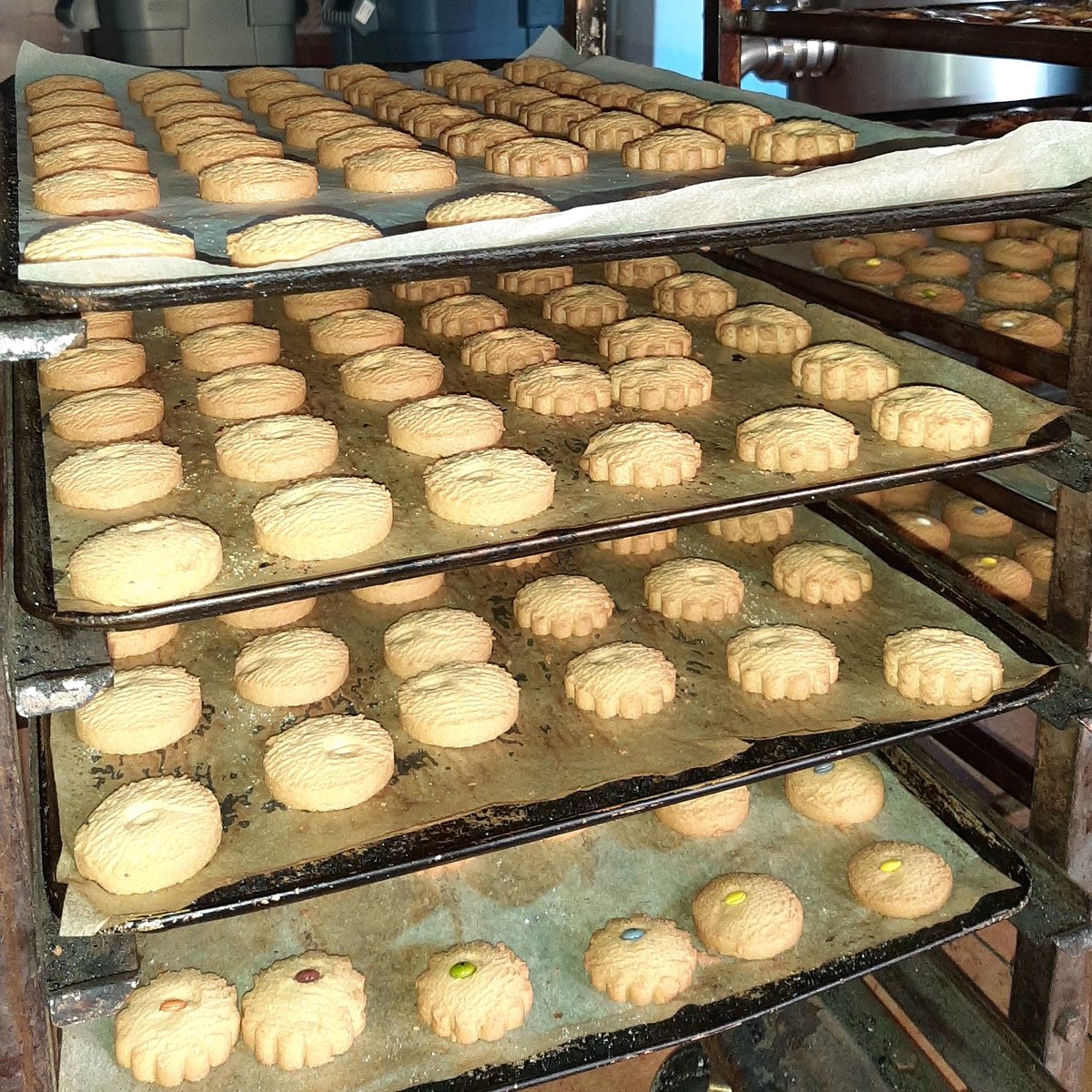 elmasape1's tweet photo. ¡Venga coge una! Recién horneadas. Están buenísimas y el obrador huele a gloria @alimentosgomera @elaboradoaqui #cookies🍪 #quierouna #galletasartesanas #lagomera https://t.co/36IK49aqcZ