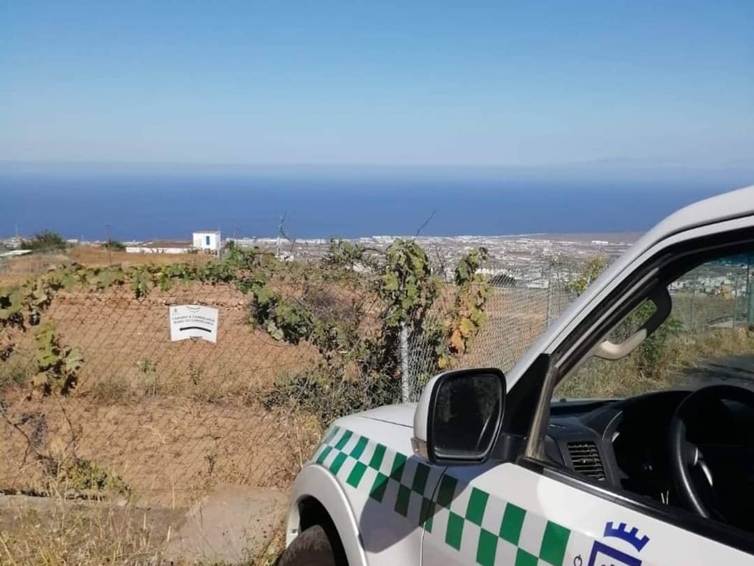 MedioNaturalTF's tweet photo. 🔝 #AgentesDeMedioAmbiente están realizando seguimiento de la tradicional peregrinación a #Candelaria, con especial atención a las zonas forestales. 🔥 (1/2) https://t.co/WUKomszPUc