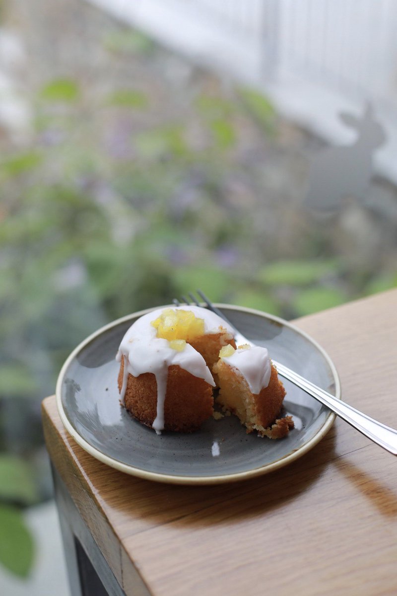 Aida Mollenkamp tweet media