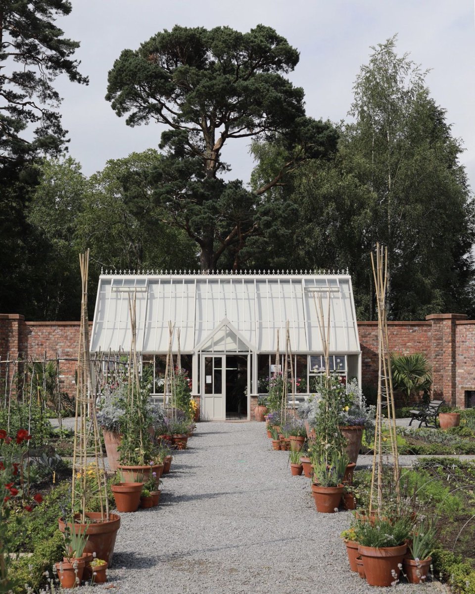 Aida Mollenkamp tweet media