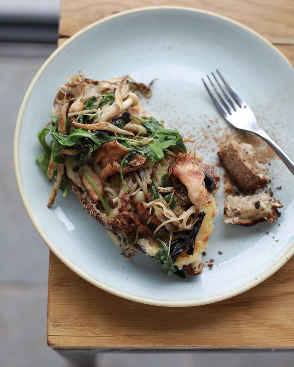 Aida Mollenkamp tweet media