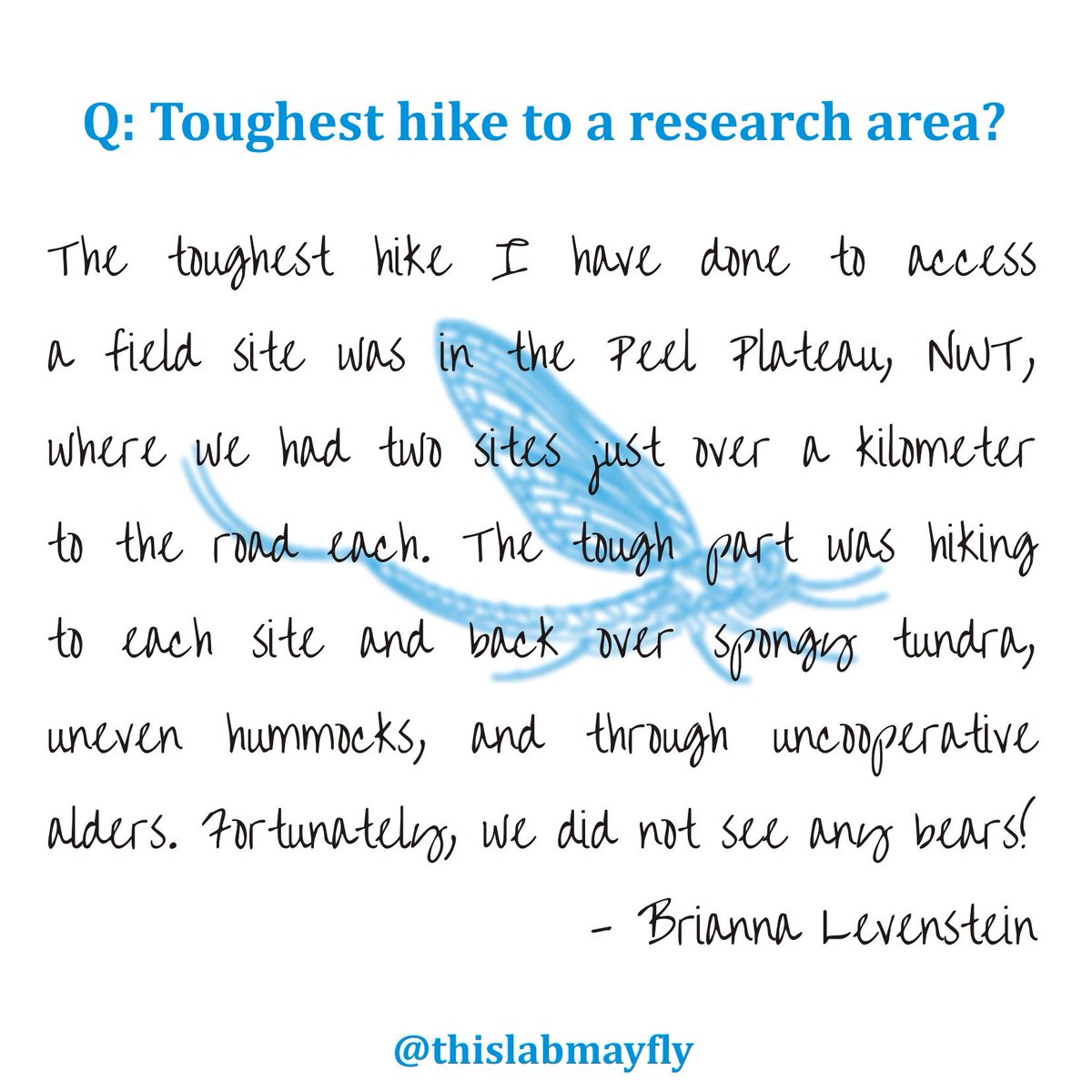 thislabmayfly's tweet photo. This week's #TheSecretLifeOfScience comes from @BriannaLevenst1, who shared her toughest hike to a research site. See attached graphic for deets, as well as photos from hike, courtesy of Krista Chin at GNWT (&amp; check our our reply to this tweet for video)! #SciTwitter #Biology https://t.co/dBKoHYsy7u