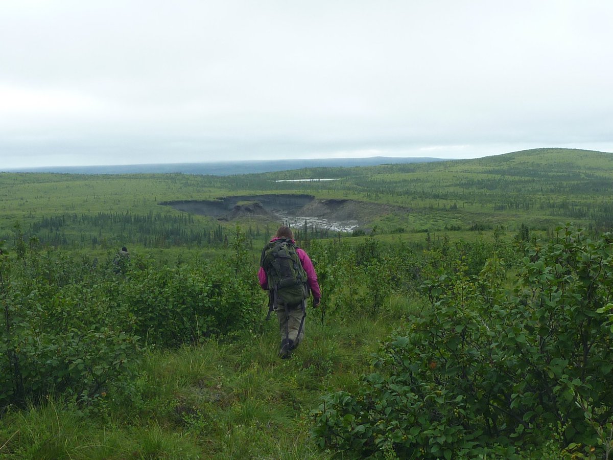 thislabmayfly's tweet photo. This week's #TheSecretLifeOfScience comes from @BriannaLevenst1, who shared her toughest hike to a research site. See attached graphic for deets, as well as photos from hike, courtesy of Krista Chin at GNWT (&amp; check our our reply to this tweet for video)! #SciTwitter #Biology https://t.co/dBKoHYsy7u