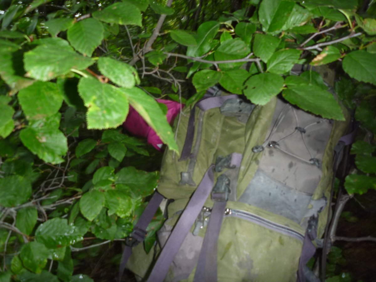 thislabmayfly's tweet photo. This week's #TheSecretLifeOfScience comes from @BriannaLevenst1, who shared her toughest hike to a research site. See attached graphic for deets, as well as photos from hike, courtesy of Krista Chin at GNWT (&amp; check our our reply to this tweet for video)! #SciTwitter #Biology https://t.co/dBKoHYsy7u