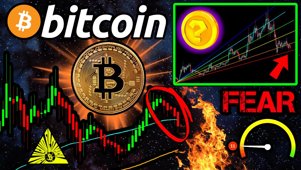 TheCryptoZombie's tweet photo. #Bitcoin continues to dump as #altcoins see positive gains in $BTC comparative (some in USD as well), #Barclays ditches #Coinbase, #Samsung adds #BTC support for #Blockchain Keystore, US tax updates, @Monarchtoken #MonarchPay, #crypto news, and more!
📺👉 https://t.co/wQcZxSD9hW https://t.co/yaUyWHU6xd