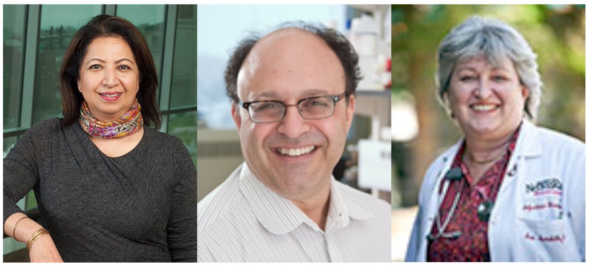 UNMC_HIV's tweet photo. The CHAIN Development Core (@UNMC_HIV ; @NIMHgov ) under the leadership of Profs S. Buch (https://t.co/bI468LNlvX), H. Fox (https://t.co/mktcvnE6Kh) & S. Swindells (https://t.co/FyXFi24GRg) stimulates innovative #collaborative #science in #HIV #aging and #neuroAIDS #unmcCHAIN https://t.co/u6el2agV8P