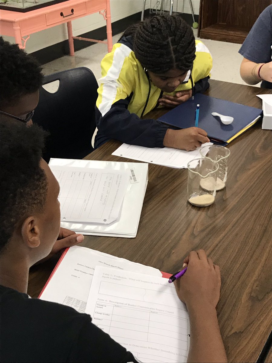 KatieCreson's tweet photo. What makes something alive? Our 8th graders at @OBMSPride are experimenting with yeast today to kick off our reproduction unit! #placetobe #teamdcs https://t.co/cG5oyn9ab5