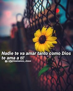 Bendecido Miércoles! 🌻