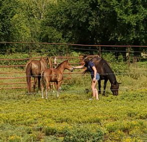CaitlinBlackfox's tweet photo. my baby bucker wanted some love this mornin when i was tellin cowboy bye ❤️ #WarFox https://t.co/44F6QP02Es