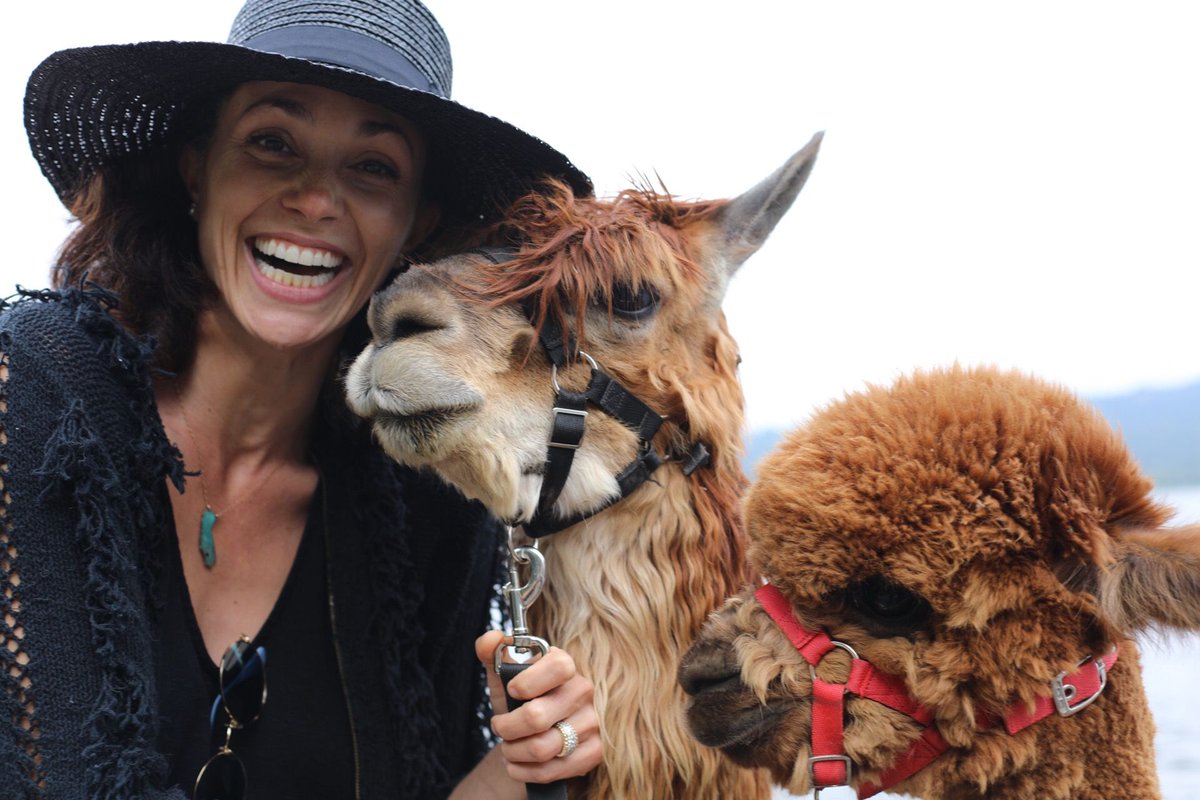 Aida Mollenkamp tweet media