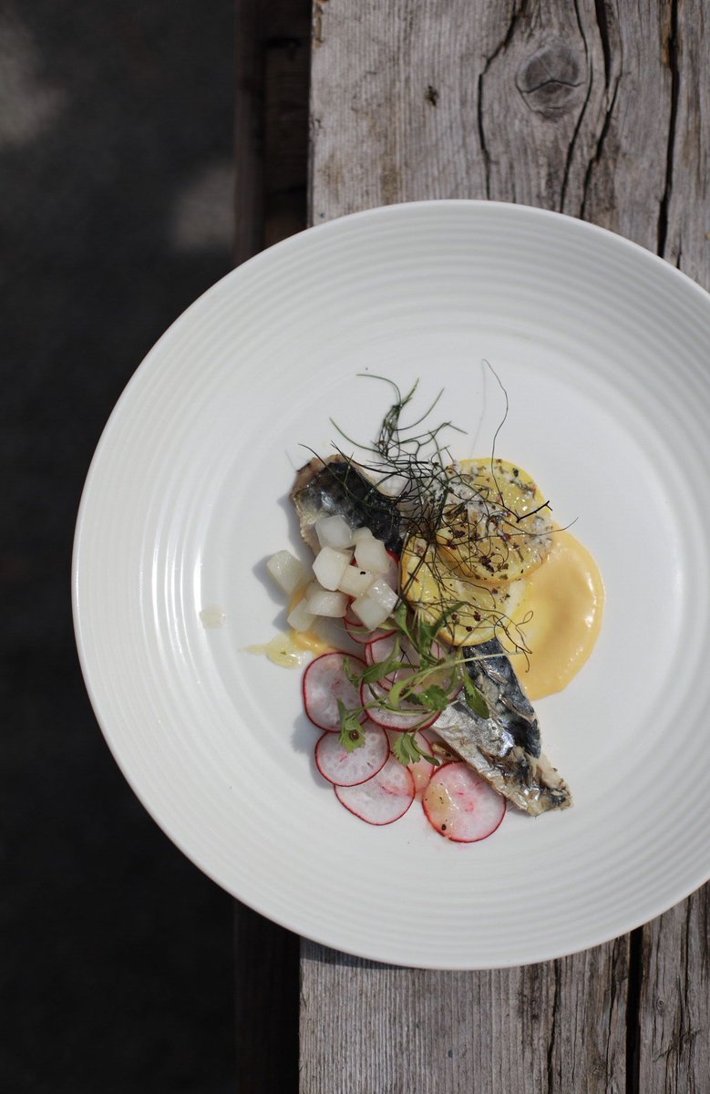 Aida Mollenkamp tweet media