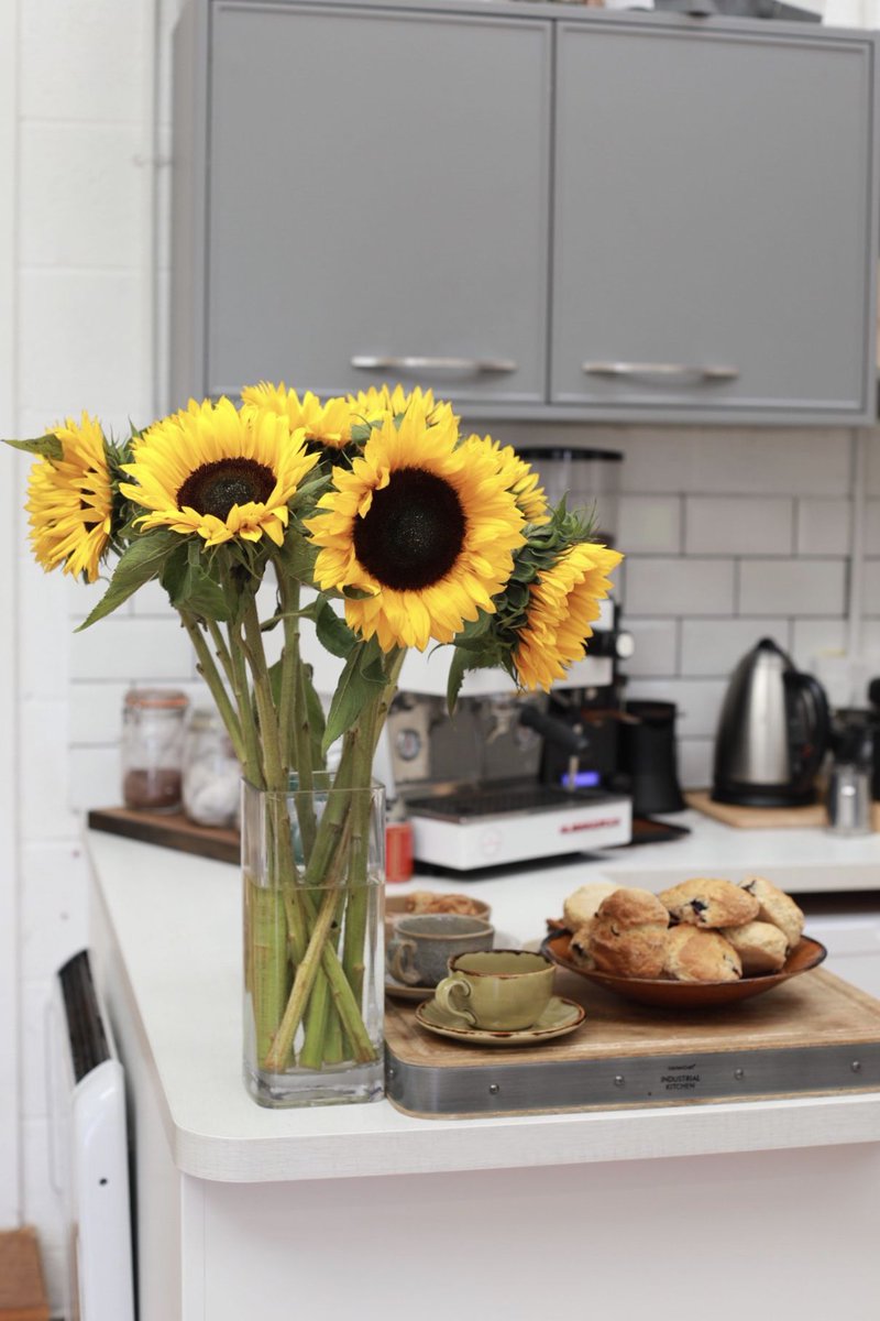 Aida Mollenkamp tweet media