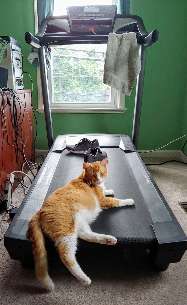 RuthMostern's tweet photo. I #amwriting , and in addition, I #amexercising. https://t.co/iMyW70WpNz