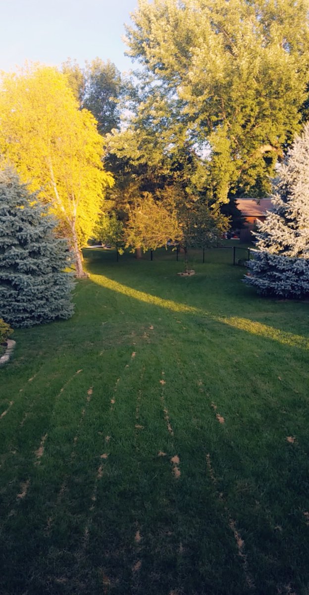 Samantha March tweet media