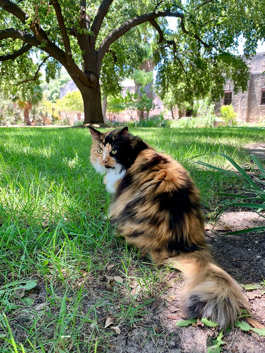 Beth Baisch tweet media