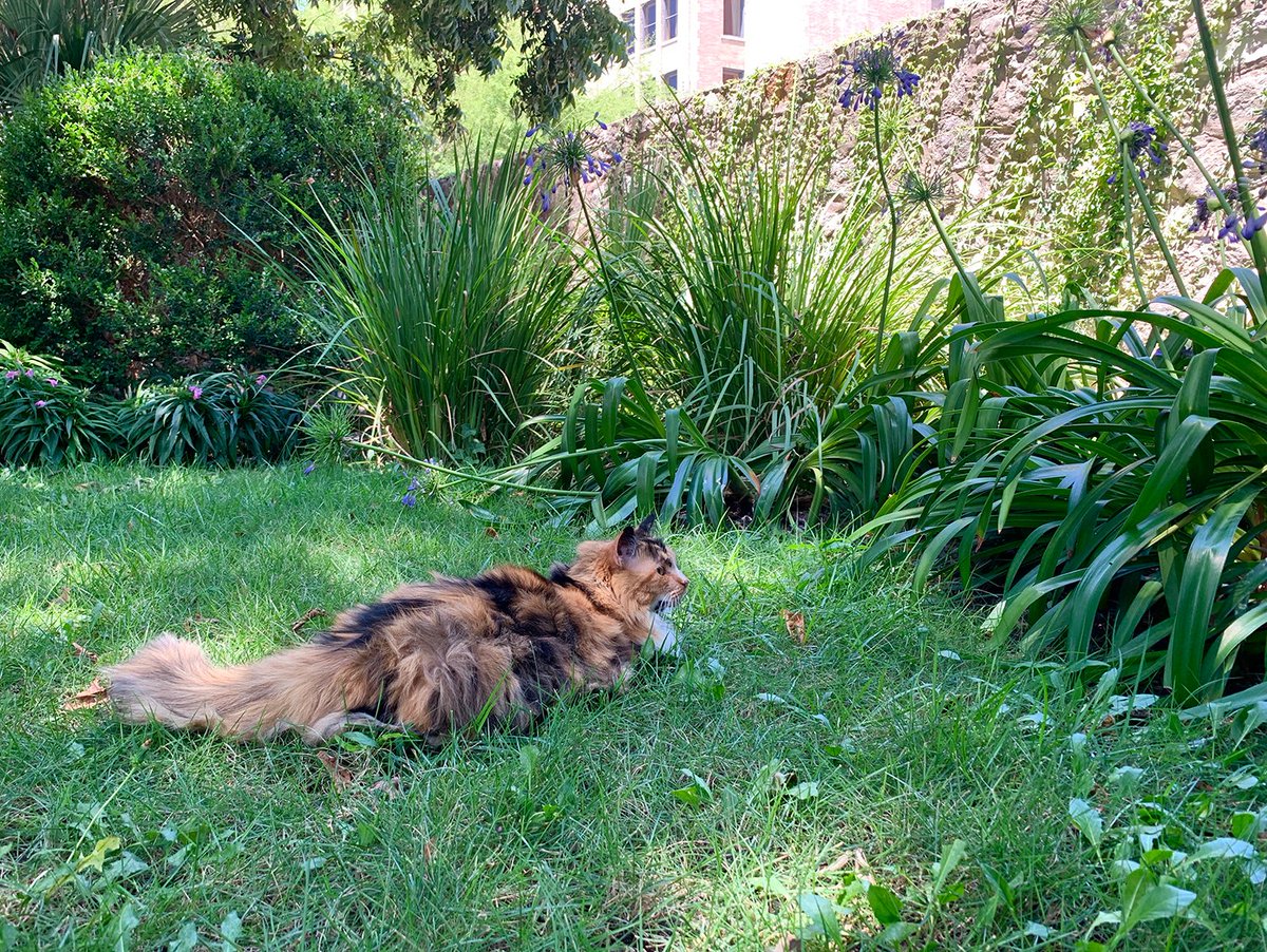 Beth Baisch tweet media