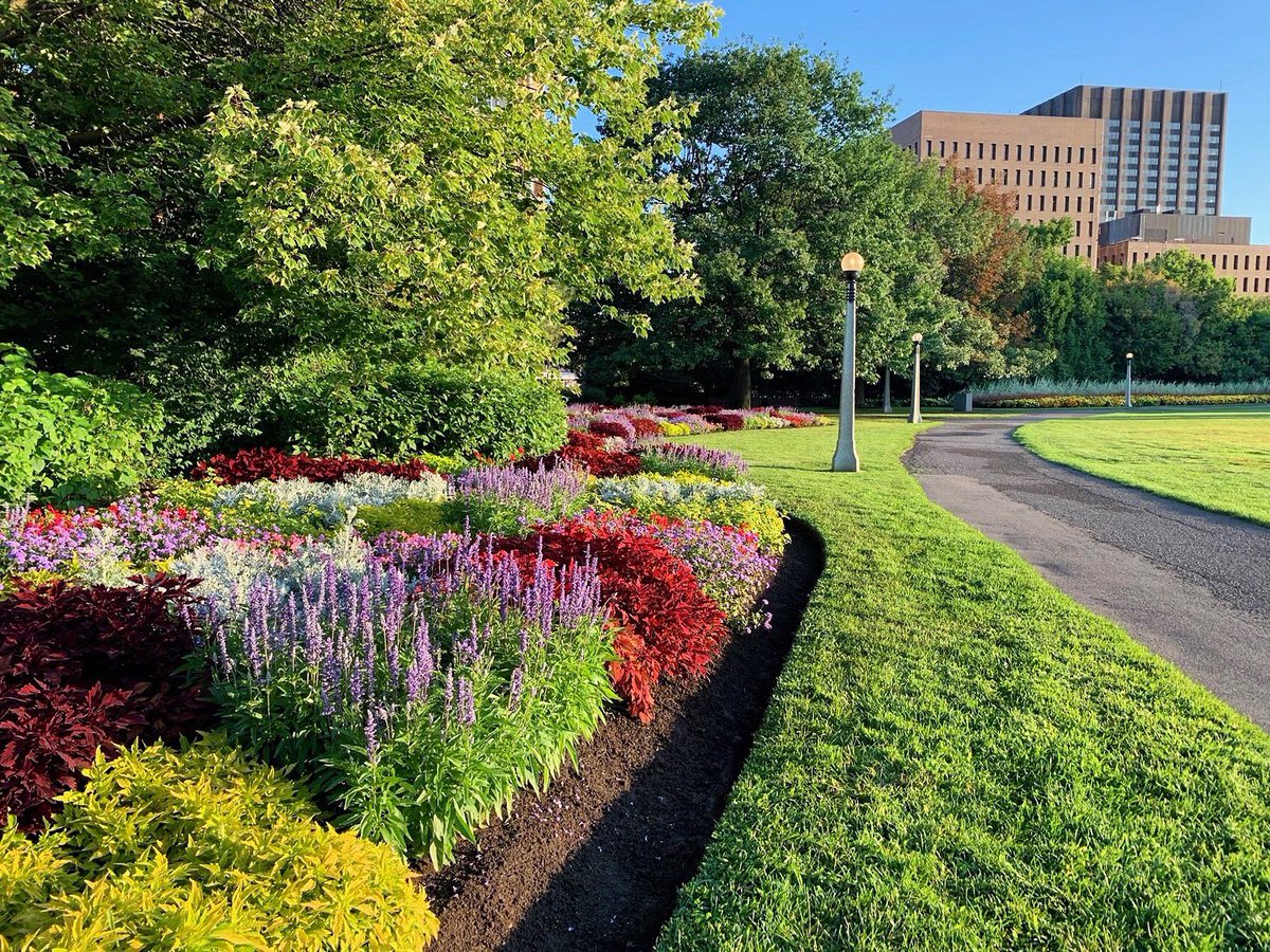 C’est comme ça qu'on fait! #entretienpaysager // This is how we do! #landscapemaintenance