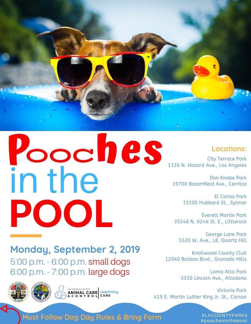 lacountyparks's tweet photo. 💦Because our pups should #MAKEaSPLASH too! #LACOUNTYPARKS #poochesinthepool 💦Sept 2, 5pm-6pm small dogs 🐶, 6pm-7pm large dogs 🐕. Pools located at City Terrace, Don Knabe, El Cariso, Knollwood, Lane, Loma Alta, Martin, and Victoria Parks. Must follow Dog Day Rules &amp; Bring Form https://t.co/RlbEya05OH