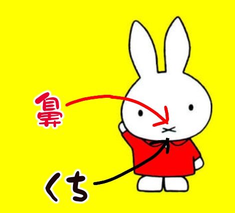 ちびぴろ A Twitter 子供の頃の勘違いをあえて言おう 10年くらい前に知ったんですが ミッフィーの は 上が鼻で下が口 本来のウサギの鼻 と口を 簡略化したものです ちびぴろ A Twitter 子供の頃の勘違いをあえて言おう 10年くらい前に知ったんですが ミッフィーの は 上が鼻で下が口 本来のウサギの鼻 と口を 簡略化したものです