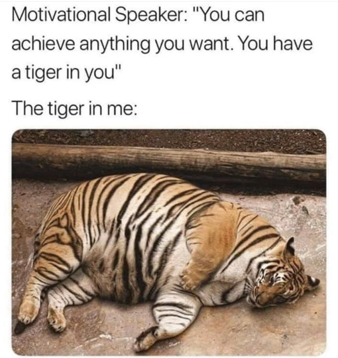 RyanMFarrell's tweet photo. Basically. https://t.co/ynOmPXCA44