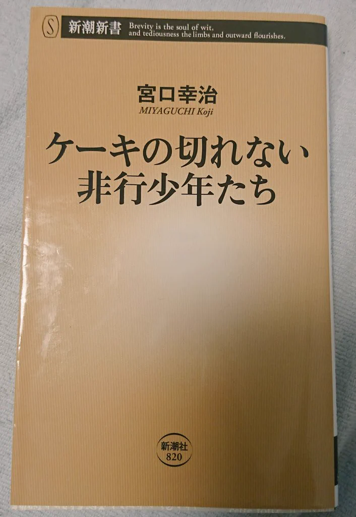 台風で衝撃な行動をとる人を「ケーキの切れない非行少年たち」と掛け合わせて読み解くｗｗどちらも発想が常識外ｗ